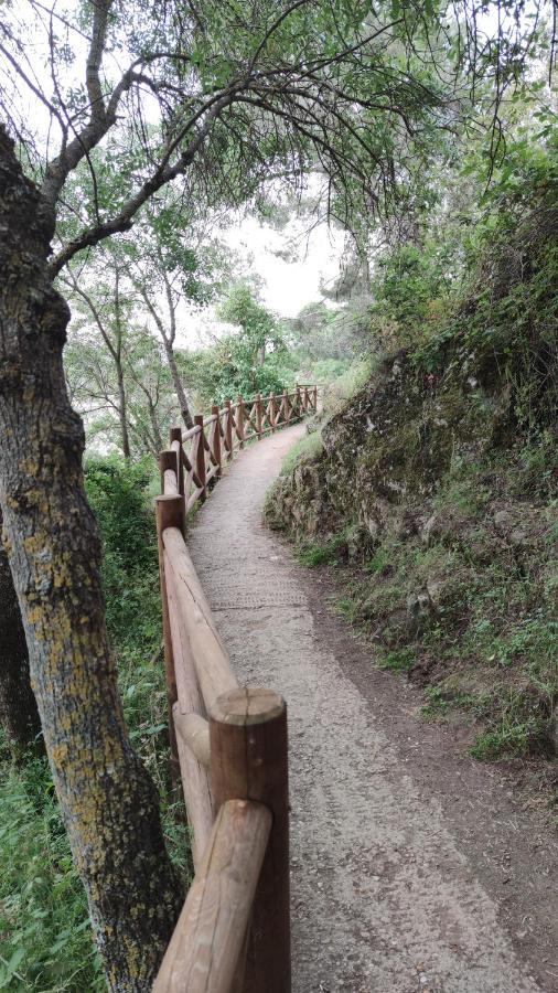 Puente Viejo De Buitrago Casa Encina Leilighet Buitrago del Lozoya Eksteriør bilde